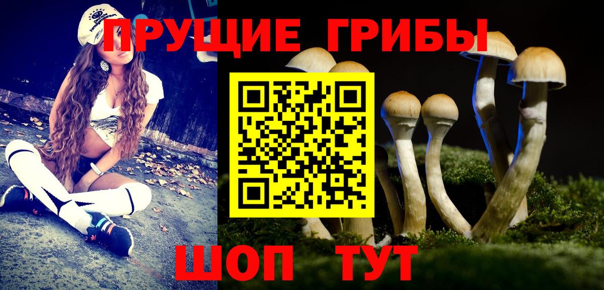Галлюциногенные грибы прущие грибы Скопин