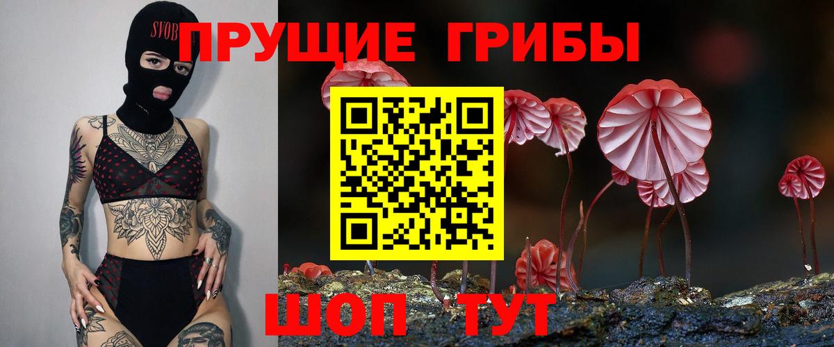 Скопин  Галлюциногенные грибы MAGIC MUSHROOMS  закладки  Вход с VPN  Псилоцибиновые грибы Magic Shrooms 
